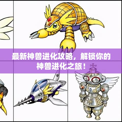 最新神獸進(jìn)化攻略，解鎖你的神獸進(jìn)化之旅！