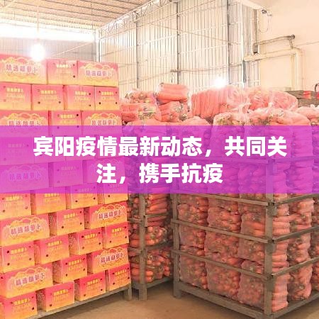 賓陽(yáng)疫情最新動(dòng)態(tài)，共同關(guān)注，攜手抗疫