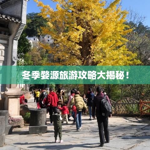 冬季婺源旅游攻略大揭秘！