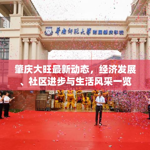 肇慶大旺最新動(dòng)態(tài)，經(jīng)濟(jì)發(fā)展、社區(qū)進(jìn)步與生活風(fēng)采一覽