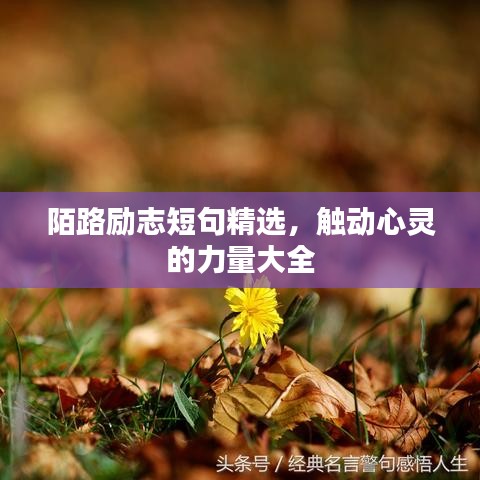陌路勵(lì)志短句精選，觸動(dòng)心靈的力量大全