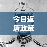 今日返唐政策解讀，最新消息匯總