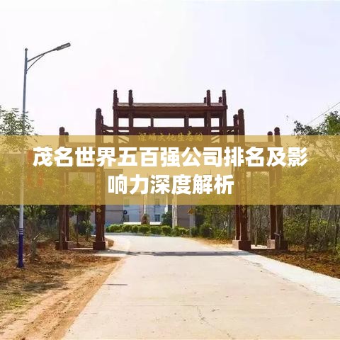 茂名世界五百?gòu)?qiáng)公司排名及影響力深度解析