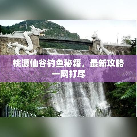 桃源仙谷釣魚(yú)秘籍，最新攻略一網(wǎng)打盡