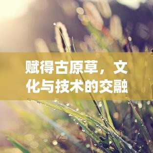 賦得古原草，文化與技術(shù)的交融之美探索
