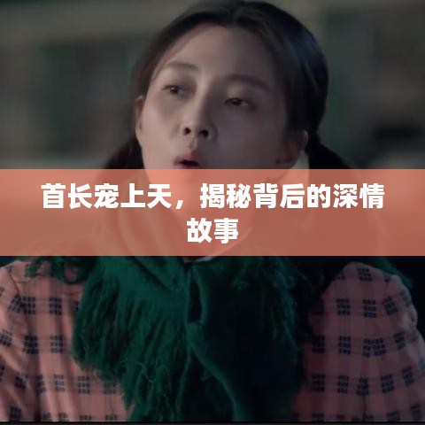 首長(zhǎng)寵上天，揭秘背后的深情故事
