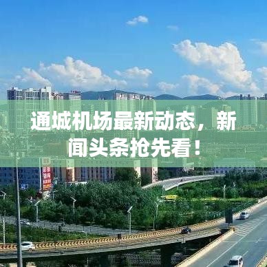 通城機(jī)場(chǎng)最新動(dòng)態(tài)，新聞?lì)^條搶先看！