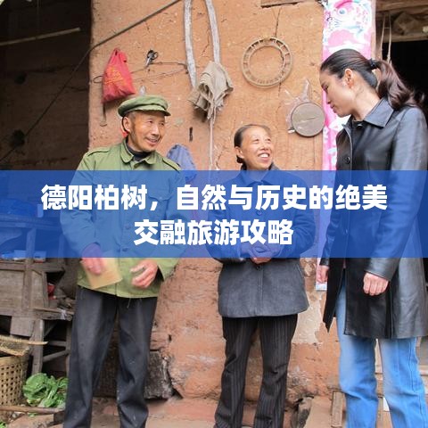 德陽柏樹，自然與歷史的絕美交融旅游攻略