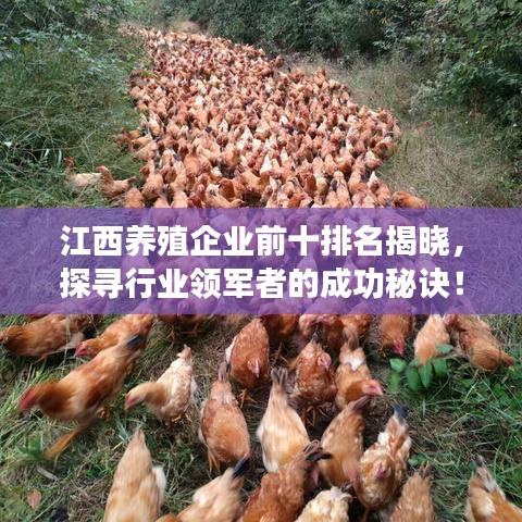 江西養(yǎng)殖企業(yè)前十排名揭曉，探尋行業(yè)領(lǐng)軍者的成功秘訣！