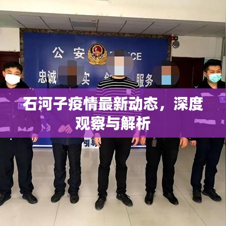 石河子疫情最新動態(tài)，深度觀察與解析