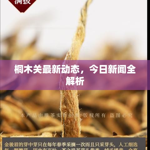 2025年5月31日 第6頁