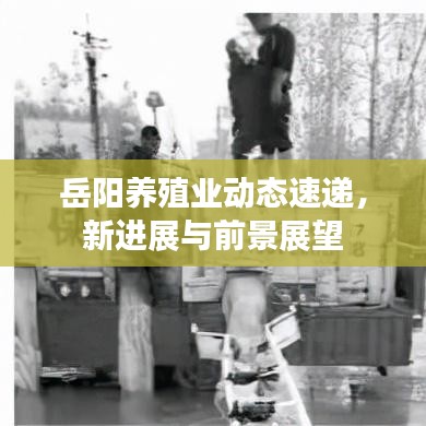 岳陽養(yǎng)殖業(yè)動態(tài)速遞，新進(jìn)展與前景展望