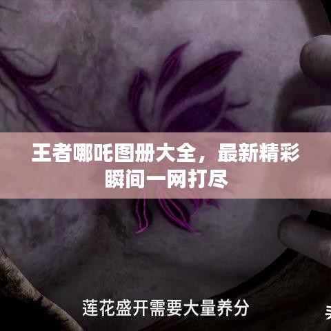 王者哪吒圖冊大全，最新精彩瞬間一網(wǎng)打盡
