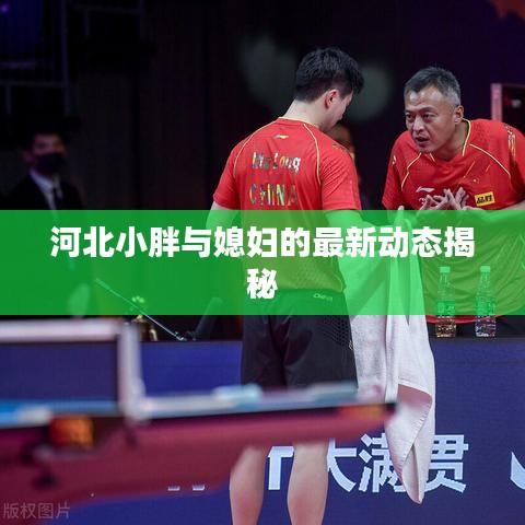 河北小胖與媳婦的最新動態(tài)揭秘