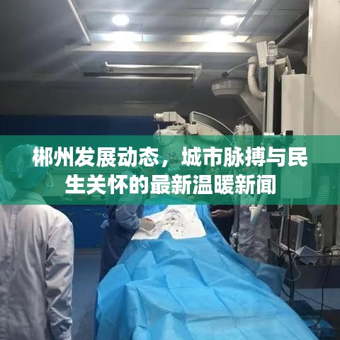 郴州發(fā)展動態(tài)，城市脈搏與民生關(guān)懷的最新溫暖新聞
