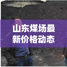 山東煤場最新價(jià)格動(dòng)態(tài)，今日行情、市場趨勢及影響因素全解析