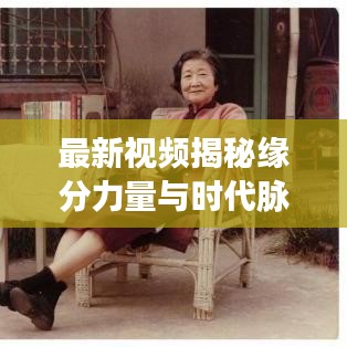 最新視頻揭秘緣分力量與時(shí)代脈搏，探尋情感與機(jī)遇的交匯點(diǎn)