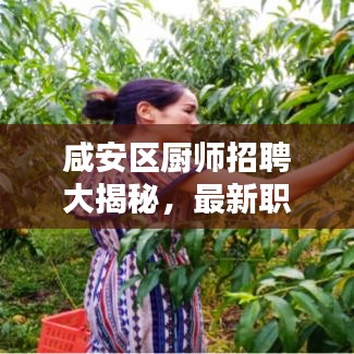 咸安區(qū)廚師招聘大揭秘，最新職位信息匯總