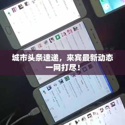 城市頭條速遞，來賓最新動態(tài)一網(wǎng)打盡！