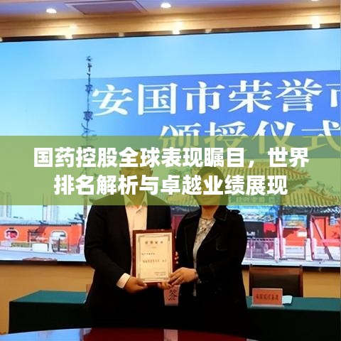 國藥控股全球表現矚目，世界排名解析與卓越業(yè)績展現