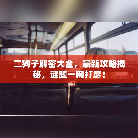 二狗子解密大全，最新攻略揭秘，謎題一網(wǎng)打盡！