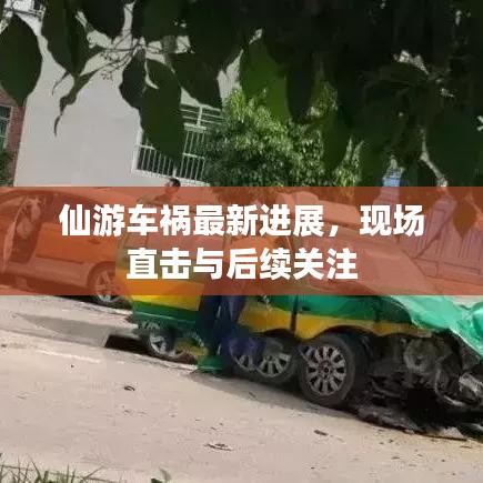 仙游車禍最新進展，現(xiàn)場直擊與后續(xù)關(guān)注