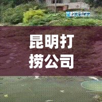 昆明打撈公司排名揭曉，行業(yè)影響力深度解析