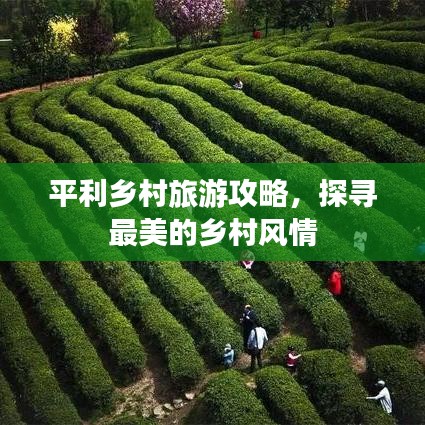 平利鄉(xiāng)村旅游攻略，探尋最美的鄉(xiāng)村風(fēng)情