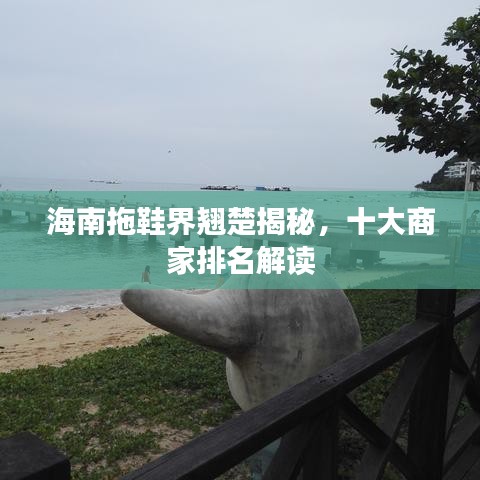 海南拖鞋界翹楚揭秘，十大商家排名解讀