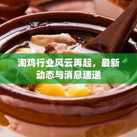 淘雞行業(yè)風(fēng)云再起，最新動(dòng)態(tài)與消息速遞