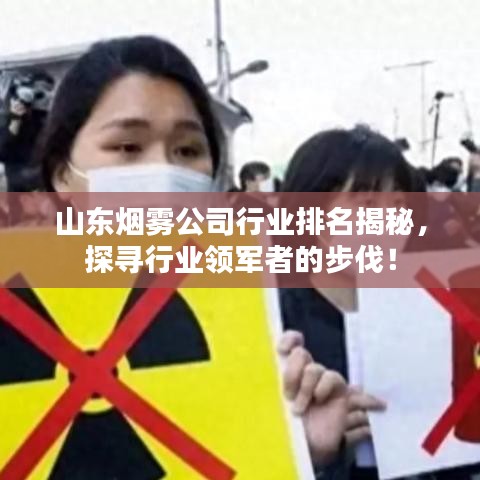 山東煙霧公司行業(yè)排名揭秘，探尋行業(yè)領(lǐng)軍者的步伐！