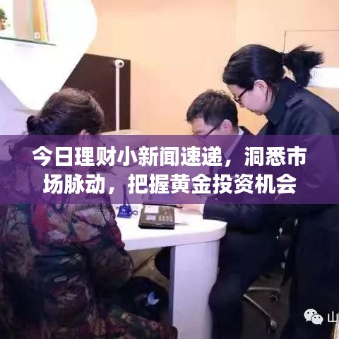 今日理財(cái)小新聞速遞，洞悉市場脈動(dòng)，把握黃金投資機(jī)會(huì)