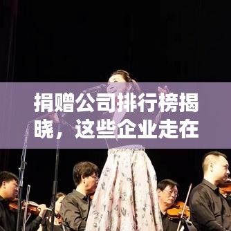 捐贈(zèng)公司排行榜揭曉，這些企業(yè)走在公益最前線