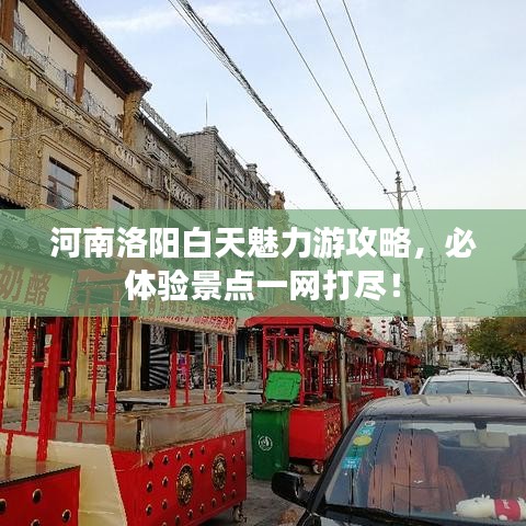河南洛陽(yáng)白天魅力游攻略，必體驗(yàn)景點(diǎn)一網(wǎng)打盡！