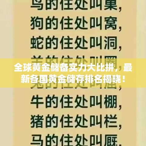 全球黃金儲(chǔ)備實(shí)力大比拼，最新各國(guó)黃金儲(chǔ)存排名揭曉！