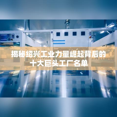 揭秘紹興工業(yè)力量崛起背后的十大巨頭工廠名單