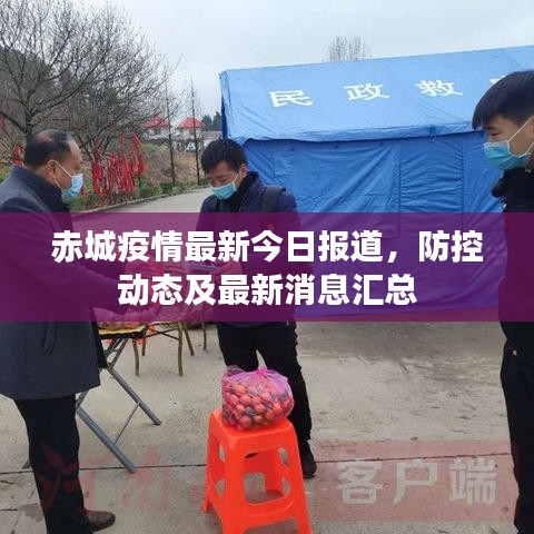 赤城疫情最新今日?qǐng)?bào)道，防控動(dòng)態(tài)及最新消息匯總