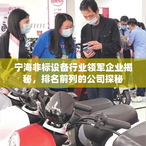 寧海非標(biāo)設(shè)備行業(yè)領(lǐng)軍企業(yè)揭秘，排名前列的公司探秘