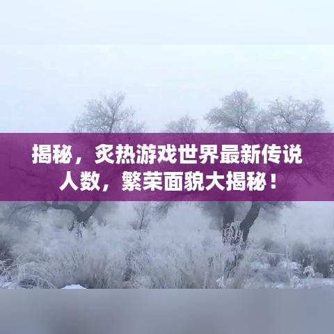 揭秘，炙熱游戲世界最新傳說人數(shù)，繁榮面貌大揭秘！
