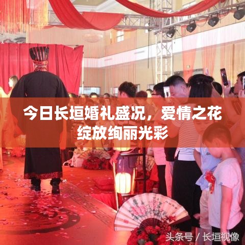 今日長(zhǎng)垣婚禮盛況，愛情之花綻放絢麗光彩