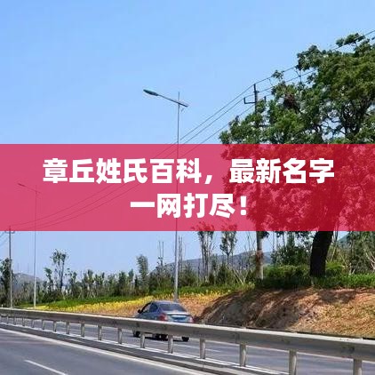 章丘姓氏百科，最新名字一網(wǎng)打盡！