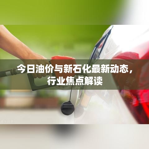 今日油價與新石化最新動態(tài)，行業(yè)焦點解讀