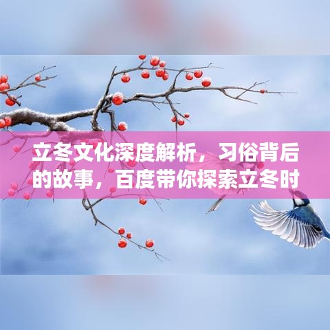 立冬文化深度解析，習(xí)俗背后的故事，百度帶你探索立冬時(shí)節(jié)的知識(shí)之旅