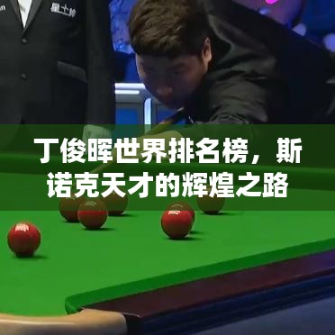 丁俊暉世界排名榜，斯諾克天才的輝煌之路揭秘
