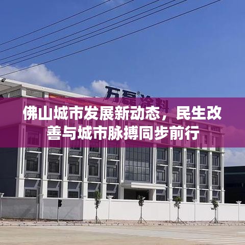 佛山城市發(fā)展新動(dòng)態(tài)，民生改善與城市脈搏同步前行