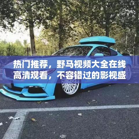 熱門推薦，野馬視頻大全在線高清觀看，不容錯過的影視盛宴