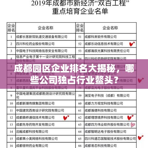 成都園區(qū)企業(yè)排名大揭秘，哪些公司獨(dú)占行業(yè)鰲頭？