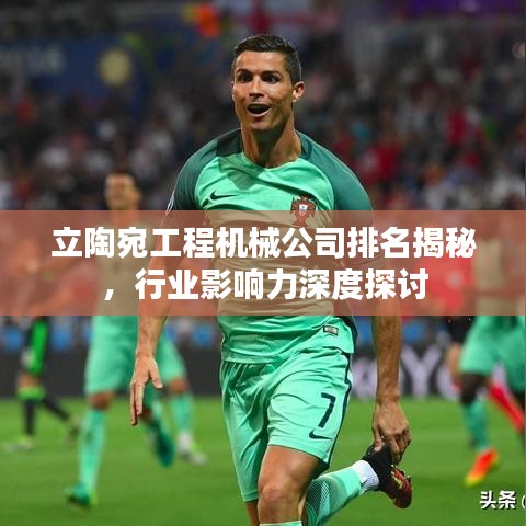 立陶宛工程機械公司排名揭秘，行業(yè)影響力深度探討