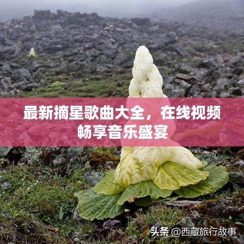 最新摘星歌曲大全，在線視頻暢享音樂盛宴