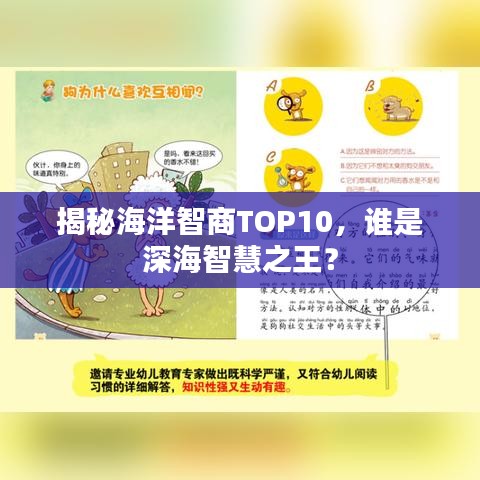揭秘海洋智商TOP10，誰是深海智慧之王？